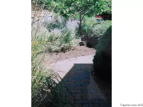 825 E Spruce St, Chatham, IL 62629 photo 35