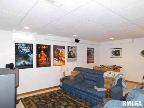 825 E Spruce St, Chatham, IL 62629 photo 31