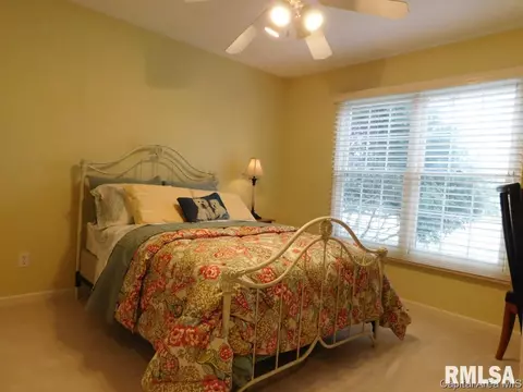 825 E Spruce St, Chatham, IL 62629 photo 26