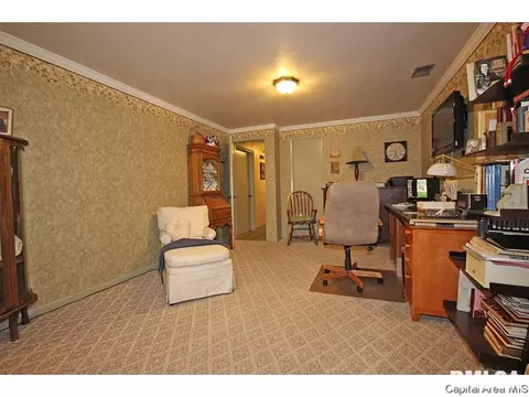 28 Arabian Spur, Springfield, IL 62702 photo 22