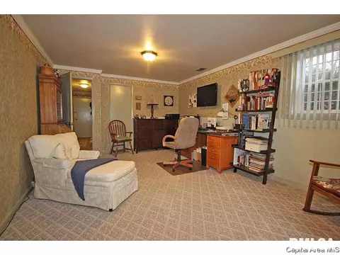 28 Arabian Spur, Springfield, IL 62702 photo 20
