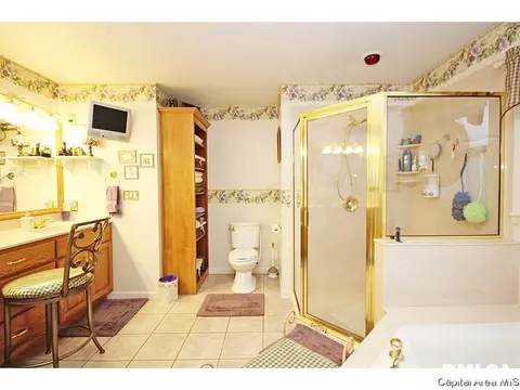 28 Arabian Spur, Springfield, IL 62702 photo 29