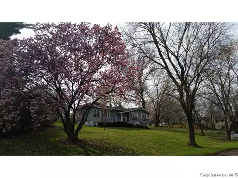 28 Arabian Spur, Springfield, IL 62702 photo 1