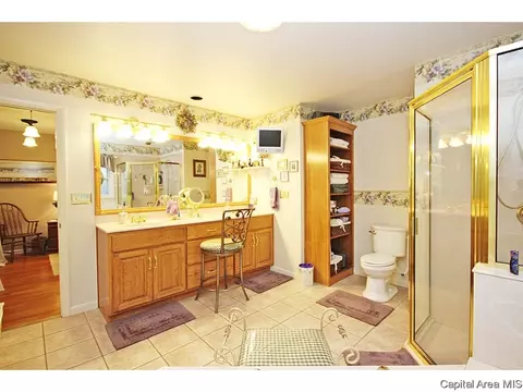 28 Arabian Spur, Springfield, IL 62702 photo 26