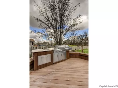 6816 Ninebark Dr, Springfield, IL 62712 photo 30