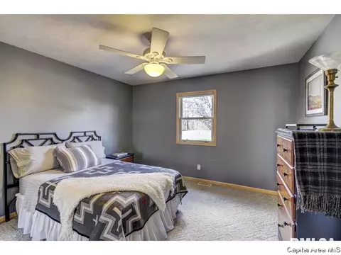 6816 Ninebark Dr, Springfield, IL 62712 photo 18