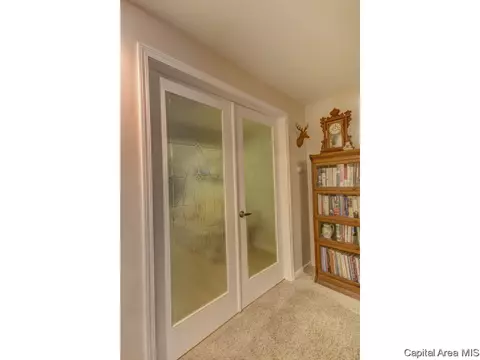 6816 Ninebark Dr, Springfield, IL 62712 photo 25