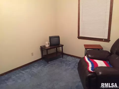 3304 Ivyton, Springfield, IL 62704 photo 29