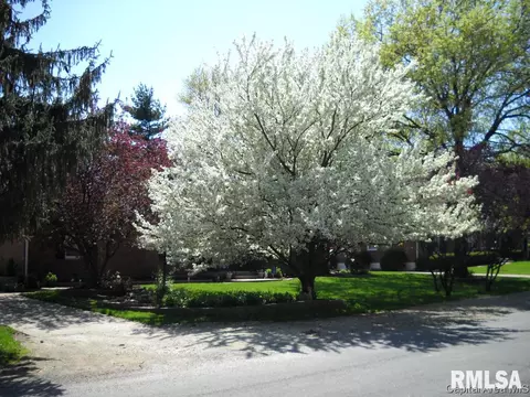 2218 Greenbriar Rd, Springfield, IL 62704 photo 5