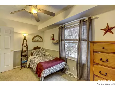 217 Hawkeye Way, Springfield, IL 62707 photo 10
