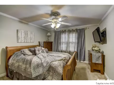 217 Hawkeye Way, Springfield, IL 62707 photo 9