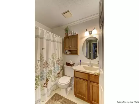217 Hawkeye Way, Springfield, IL 62707 photo 13