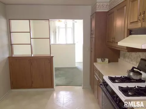 913 Westview Dr, Springfield, IL 62704 photo 10