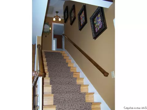 1438 Rachel Ln, Springfield, IL 62711 photo 15