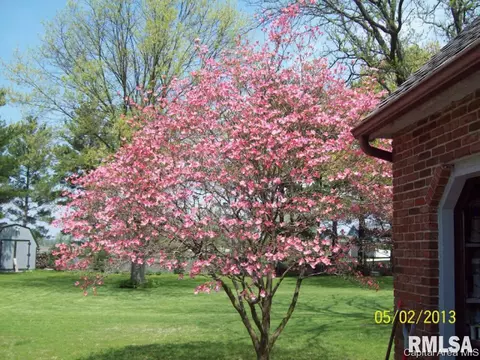 1438 Rachel Ln, Springfield, IL 62711 photo 34