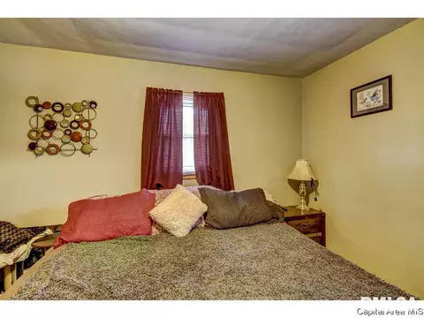 2005 Randall Ct, Springfield, IL 62703 photo 21