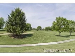 4709 Wildcat Run, Springfield, IL 62711 photo 23