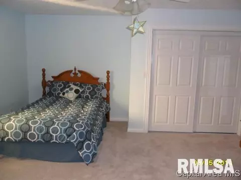 4709 Wildcat Run, Springfield, IL 62711 photo 17
