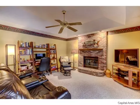 3912 Old Mill Ln, Springfield, IL 62711 photo 4