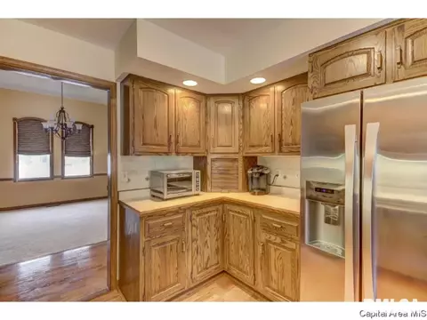3912 Old Mill Ln, Springfield, IL 62711 photo 14