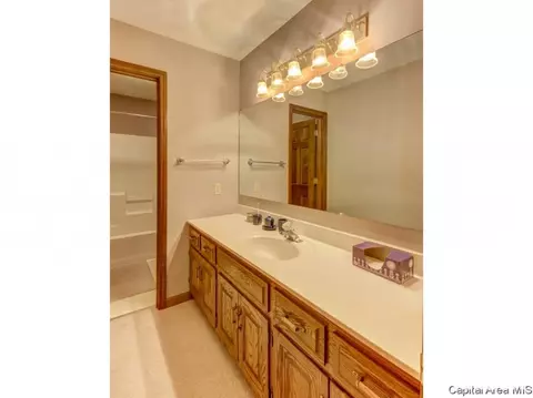 3912 Old Mill Ln, Springfield, IL 62711 photo 31