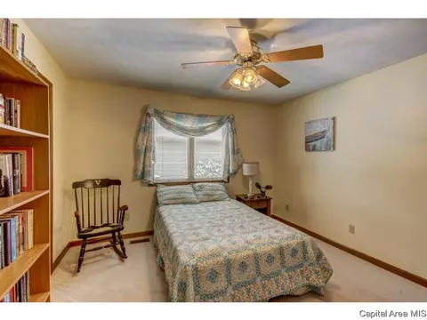 3912 Old Mill Ln, Springfield, IL 62711 photo 18