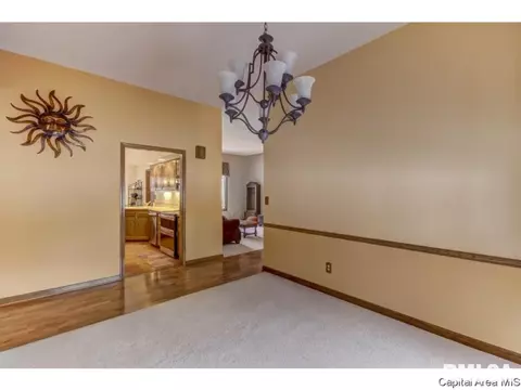 3912 Old Mill Ln, Springfield, IL 62711 photo 22