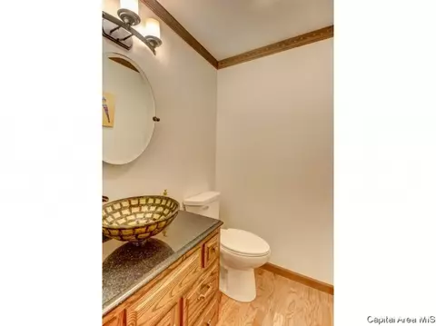 3912 Old Mill Ln, Springfield, IL 62711 photo 30