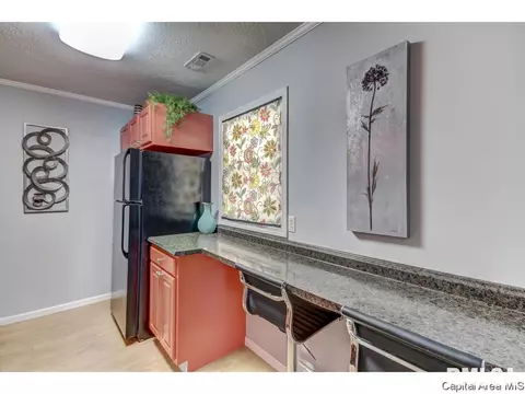 1633 N 20th St, Springfield, IL 62702 photo 10