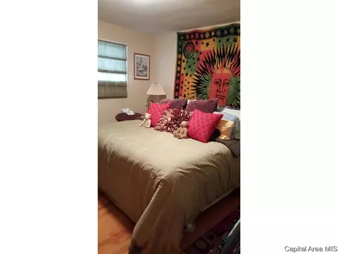 505 Witherspoon, Springfield, IL 62704 photo 8