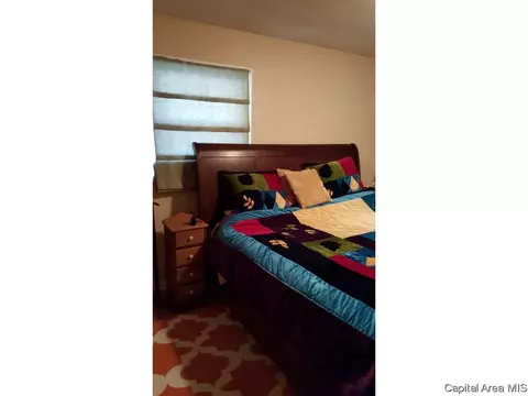 505 Witherspoon, Springfield, IL 62704 photo 9
