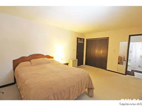 138 White Birch, Springfield, IL 62712 photo 11
