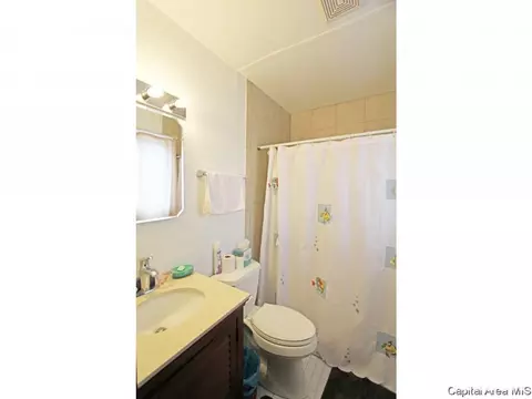 138 White Birch, Springfield, IL 62712 photo 12