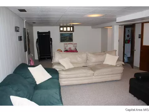 1536 W Capitol Ave, Springfield, IL 62704 photo 20