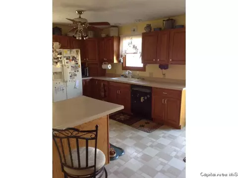 445 E North, Roodhouse, IL 62082 photo 7