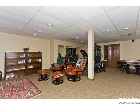 3409 Red Hawk, Springfield, IL 62711 photo 29