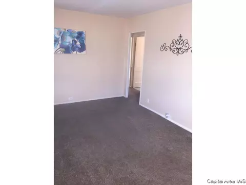 201 S Parker Ave, Springfield, IL 62704 photo 3
