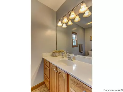 1404 Old Crows Way, Springfield, IL 62712 photo 30