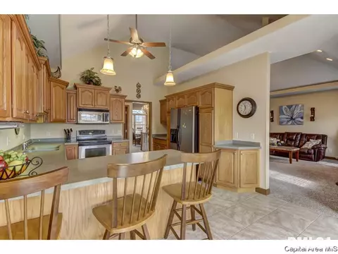 1404 Old Crows Way, Springfield, IL 62712 photo 22
