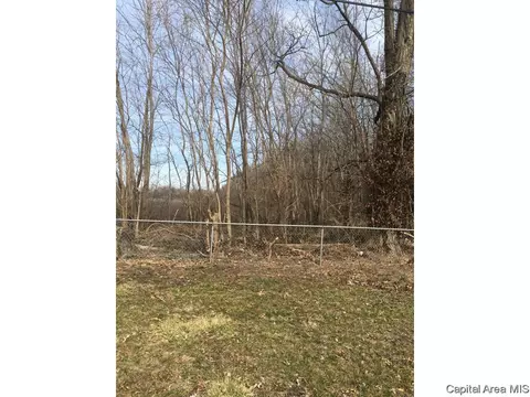 2309 Montgomery Ln, Springfield, IL 62703 photo 14