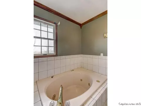 1583 E Barber Rd, Sherman, IL 62684 photo 16