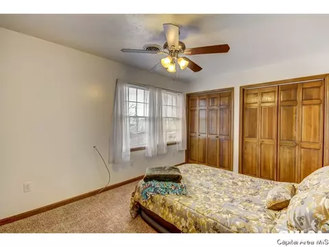 1583 E Barber Rd, Sherman, IL 62684 photo 19