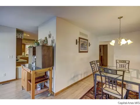 4274 Old Route 36, Springfield, IL 62707 photo 9