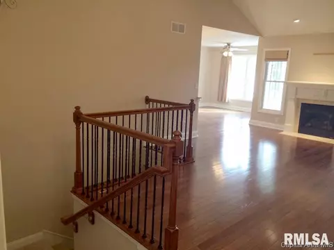 3314 Mackinaw Ln, Springfield, IL 62711 photo 13