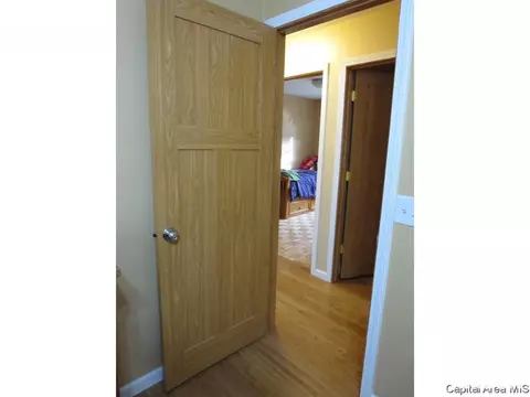 3013 E Griffiths Ave, Springfield, IL 62702 photo 12