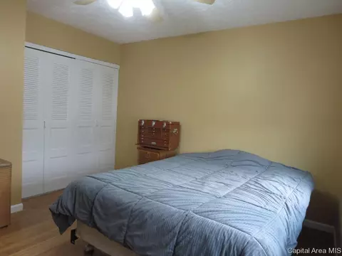 3013 E Griffiths Ave, Springfield, IL 62702 photo 10