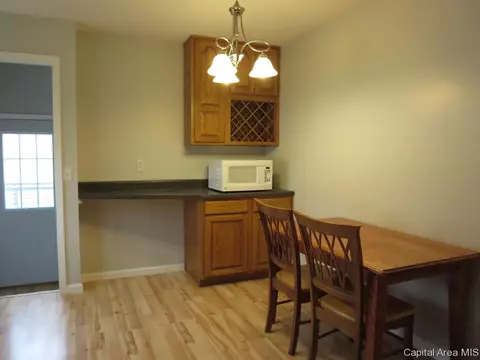 3013 E Griffiths Ave, Springfield, IL 62702 photo 19