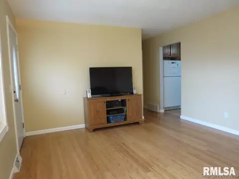 3013 E Griffiths Ave, Springfield, IL 62702 photo 6