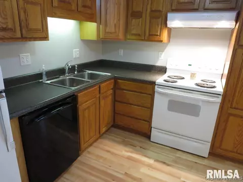 3013 E Griffiths Ave, Springfield, IL 62702 photo 17