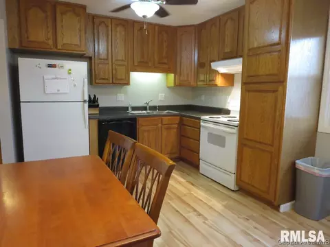 3013 E Griffiths Ave, Springfield, IL 62702 photo 15
